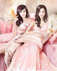 女律师的电视剧